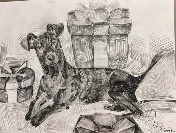 “Bean” — Pencil — 2024